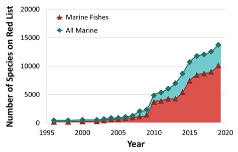 浪裏白條是什麼魚：從多維度解析這一海洋生物之谜